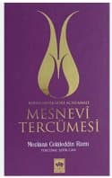 Mesnevi tercümesi-1