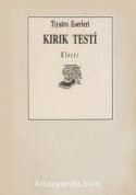 Kırık Testi