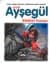 Küçük Ayşegül Bisiklet Kazası