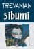 Şibumi