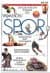 Yaşam Boyu Spor