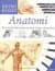 Anatomi