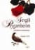 Sevgili Peygamberim / Çocuklar ve Gençler İçin Renkli