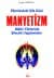 Manyetizm
