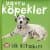 İlk Kitabım - Yavru Köpekler