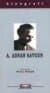 Ahmet Adnan Saygun