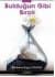 Bulduğun Gibi Bırak