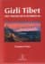Gizli Tibet - Tibet Mucizeleri ve Ölümsüzler