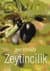 Zeytincilik