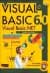 Visual Basic 6.0