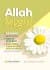 Allah Sevgisi