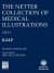 The Netter Collection Of Medical Illustrations Kalp