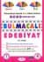 Bulmacalı Kitaplar Serisi-1: Bulmacalı Edebiyat
