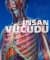 İnsan Vücudu İçini Gör