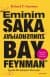 Eminim Şaka Yapıyorsunuz Bay Feynman