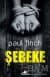 Şebeke