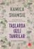Taşlarda Gizli Tanrılar