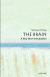 The Brain: A Very Short Introduction