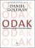 Odak Mükemmelliğin Gizli Anahtarı