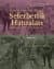 Karamanlı Rum Ortodoks Bir Askerin Seferberlik Hatıraları Çanakkale ve Doğu Cepheleri, 1915-1919