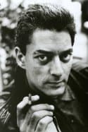 paul auster